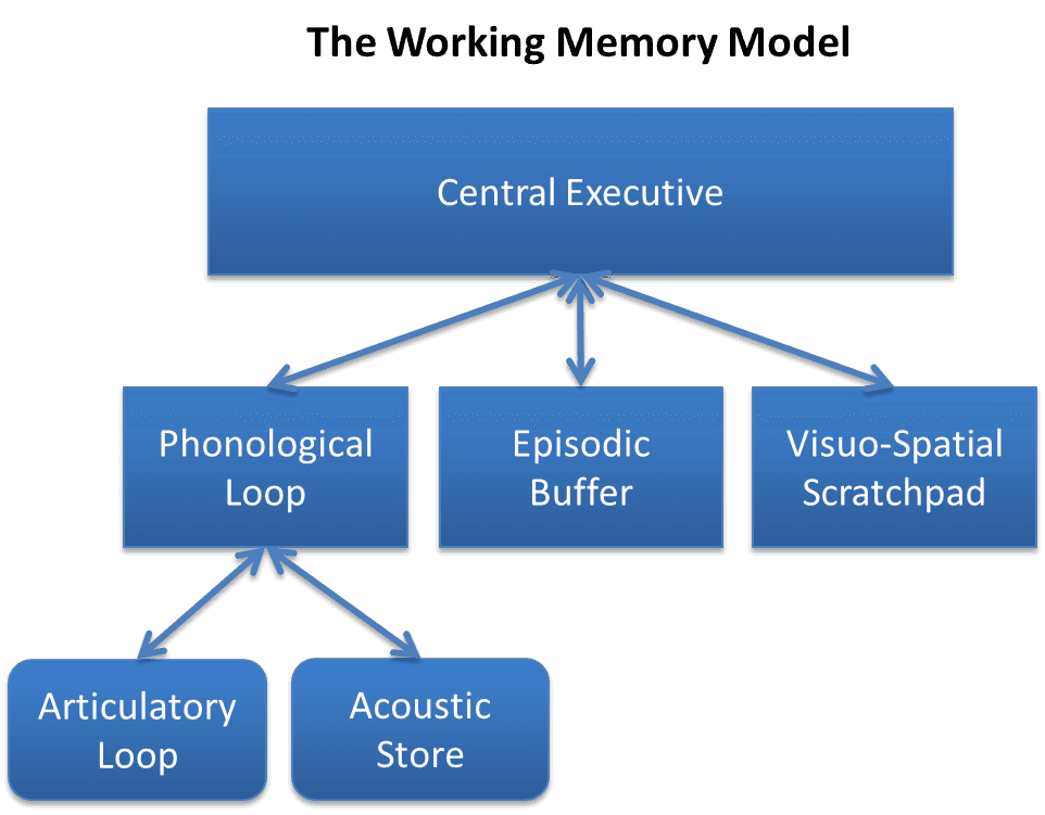 Baddeley and Hitch's Working Memory Model