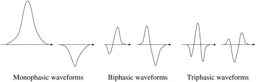 Monophasic, biphasic, and triphasic waveforms. From Characterization and Identification of Dependence in EMG Signals from Action Potentials and Random Firing Patterns by Leon et al 2024