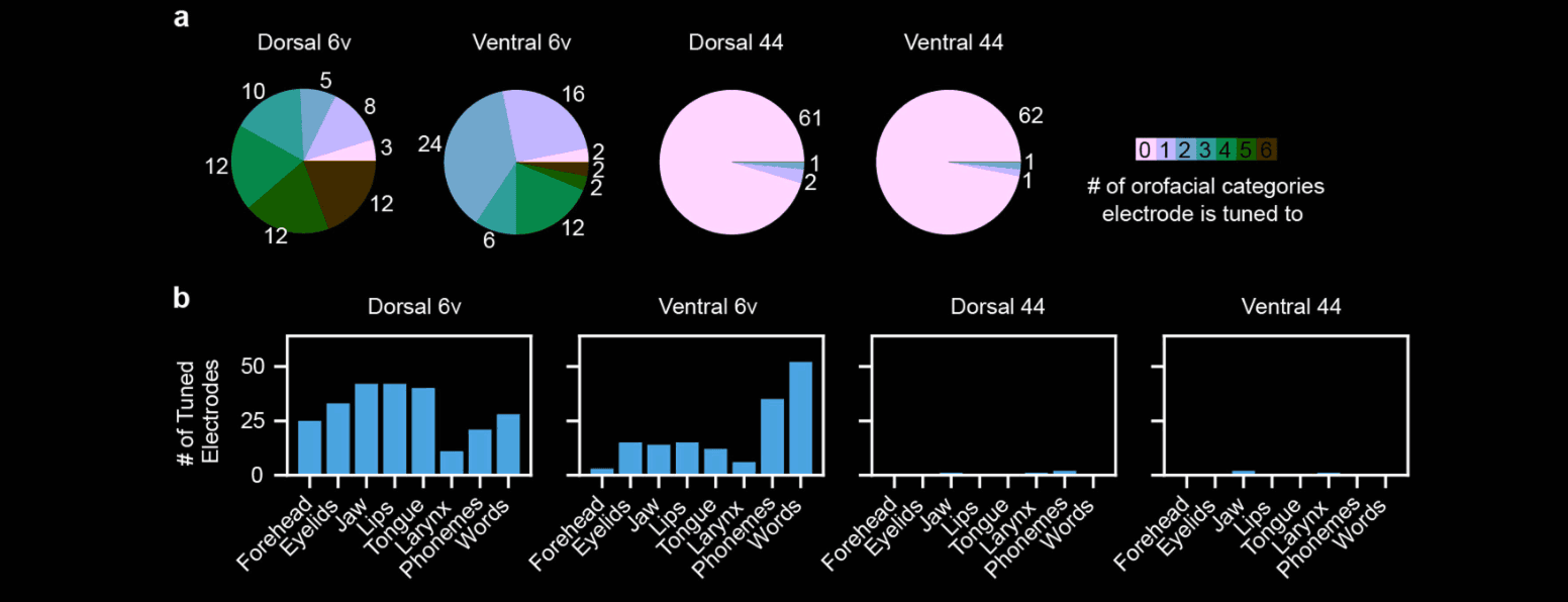 Image from the Willet et al. 2023 paper demonstrating electrodes tuned to categories of orofacial movement
