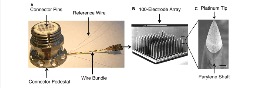 Diagram showing BlackRock Neurotech Utah Array