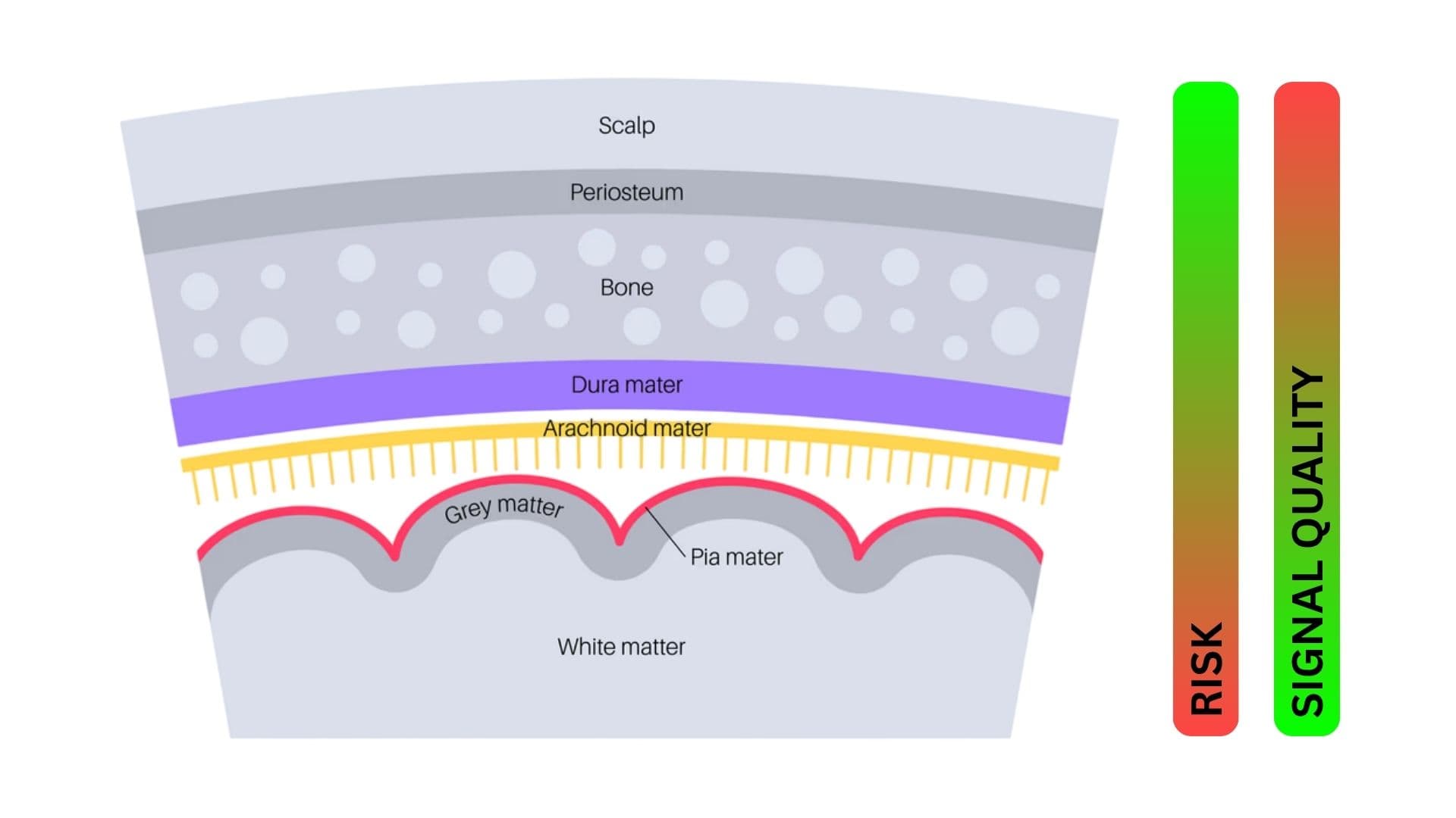 Risk and signal quality across the layers from scalp to white matter: deeper means more risk but better signal